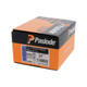 921589%20Paslode%20F16X38mm.jpg.jpeg 921589%20Paslode%20F16X38mm.jpg.jpeg